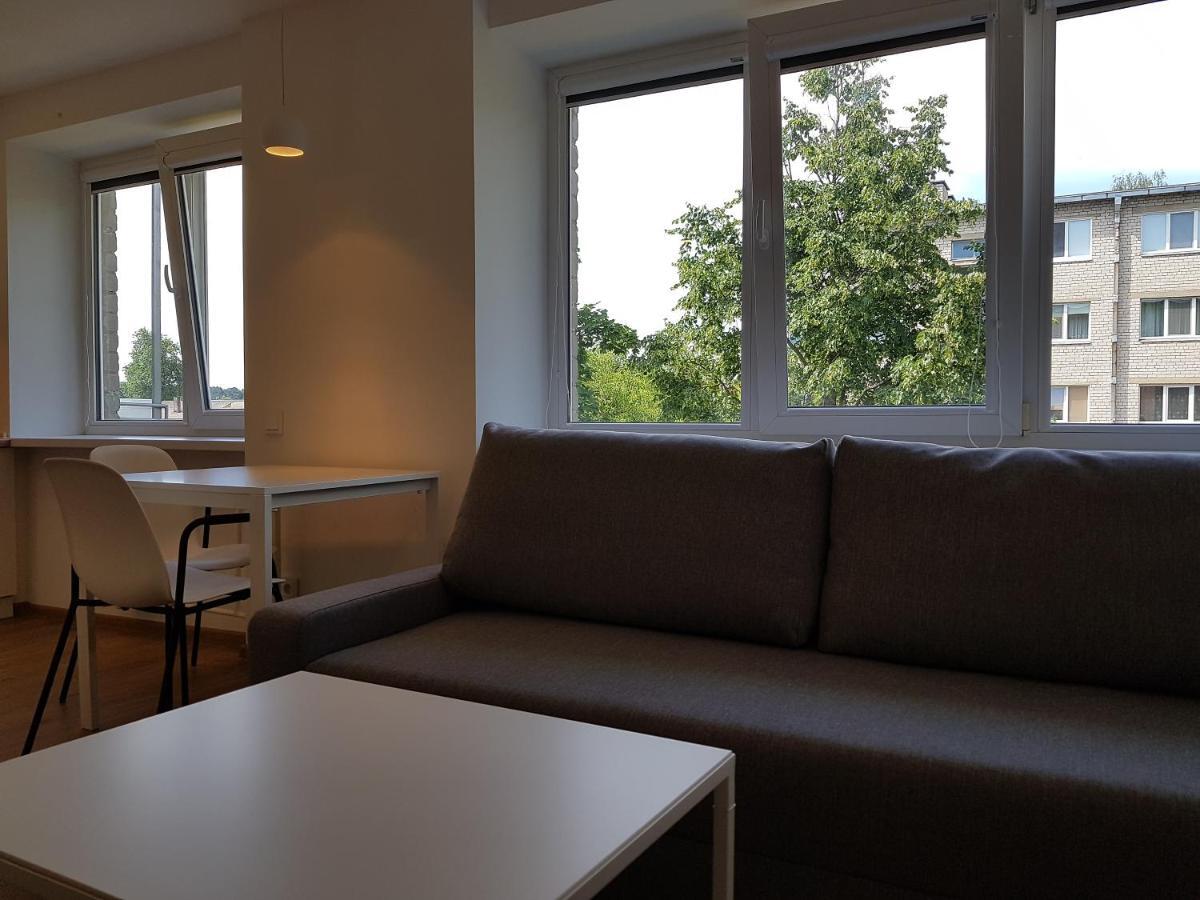 Anyksciai Cozy Studio Екстер'єр фото