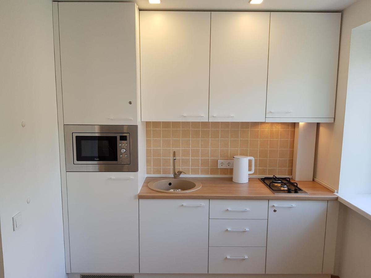 Anyksciai Cozy Studio Екстер'єр фото