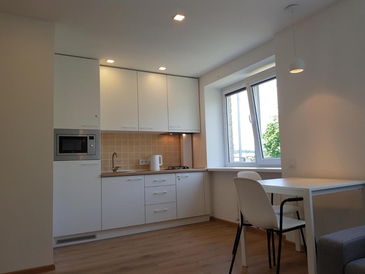 Anyksciai Cozy Studio Екстер'єр фото