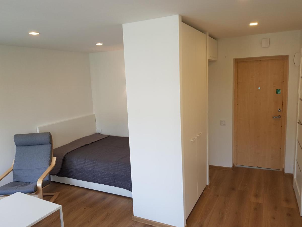 Anyksciai Cozy Studio Екстер'єр фото