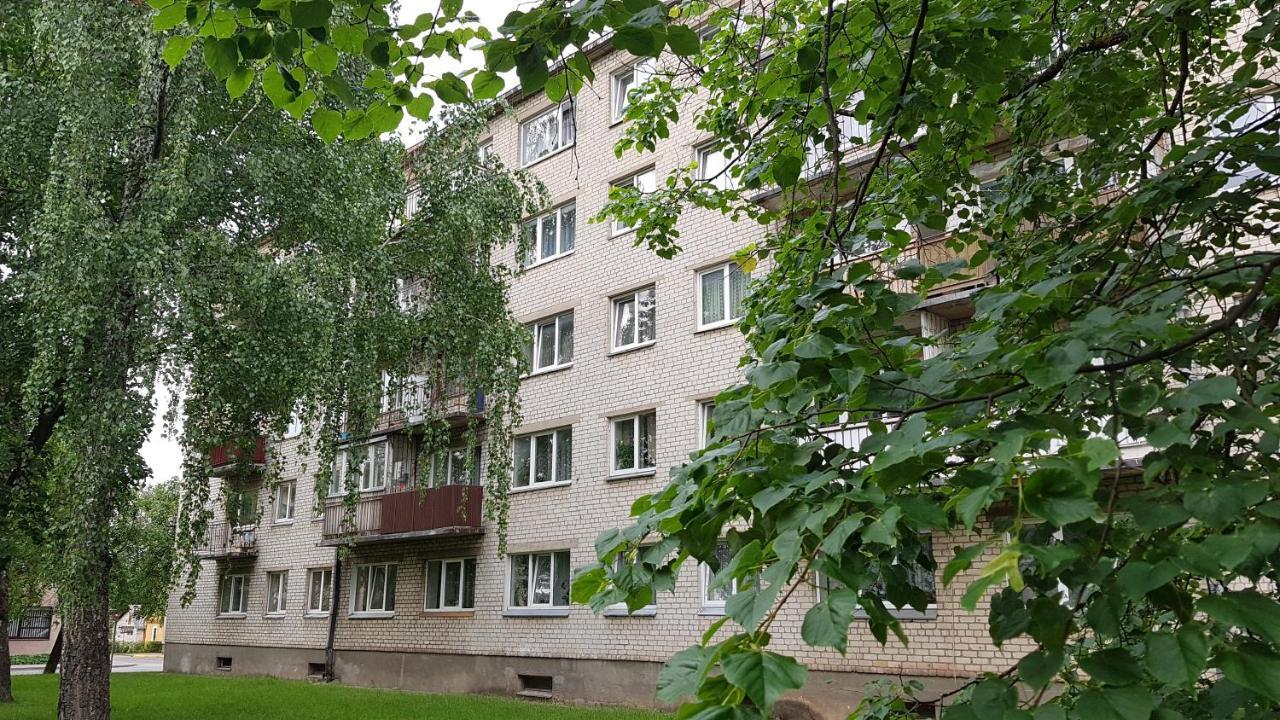 Anyksciai Cozy Studio Екстер'єр фото